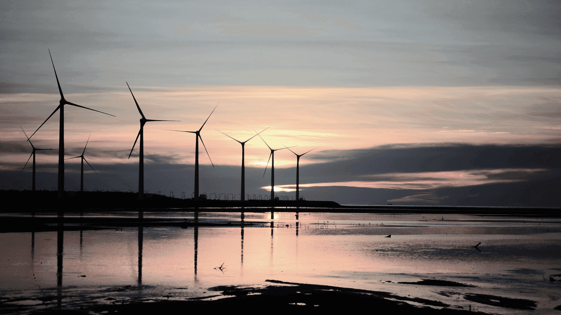 IA. Renováveis e Sustentabilidade